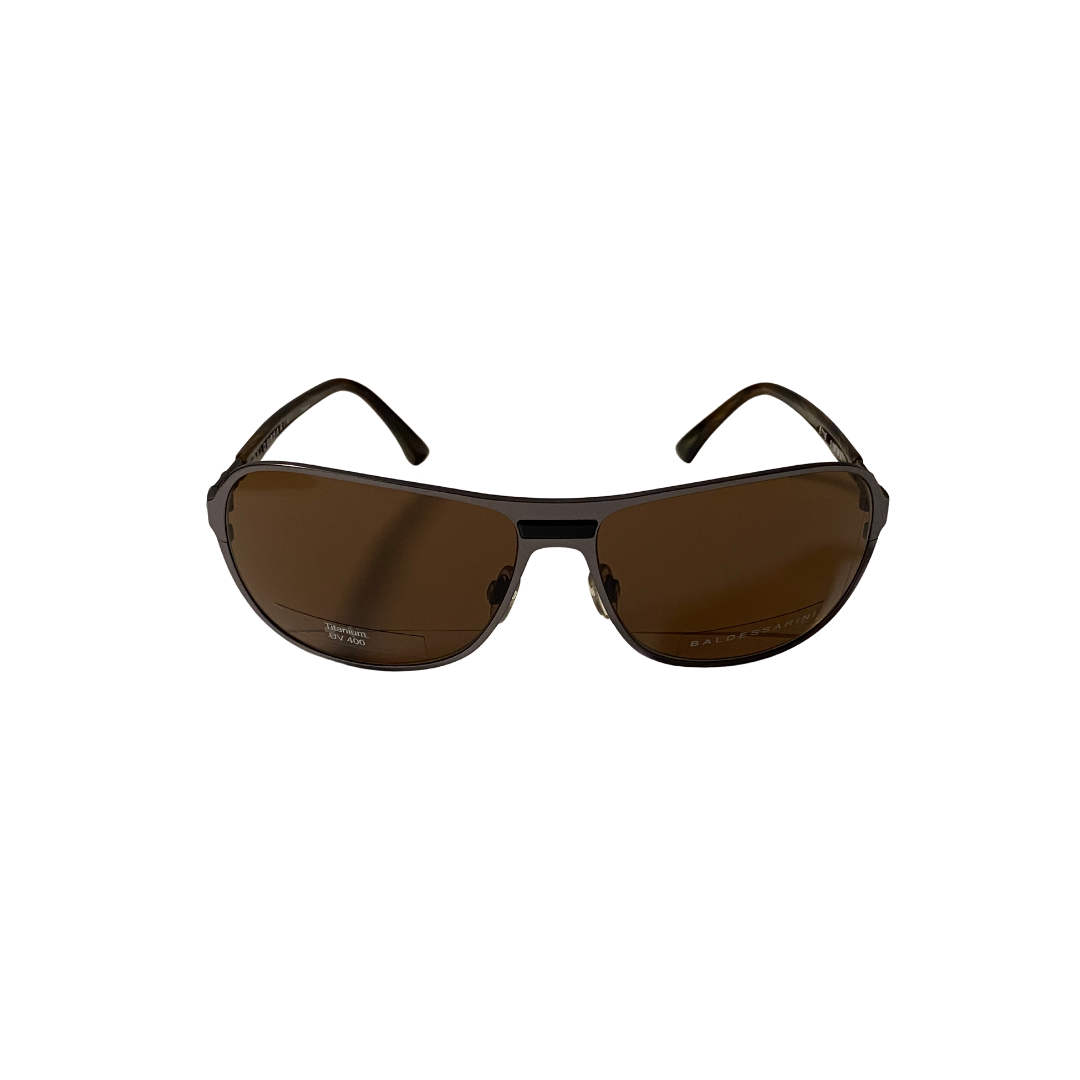 BROWN SUNGLASSES (B1116/C)