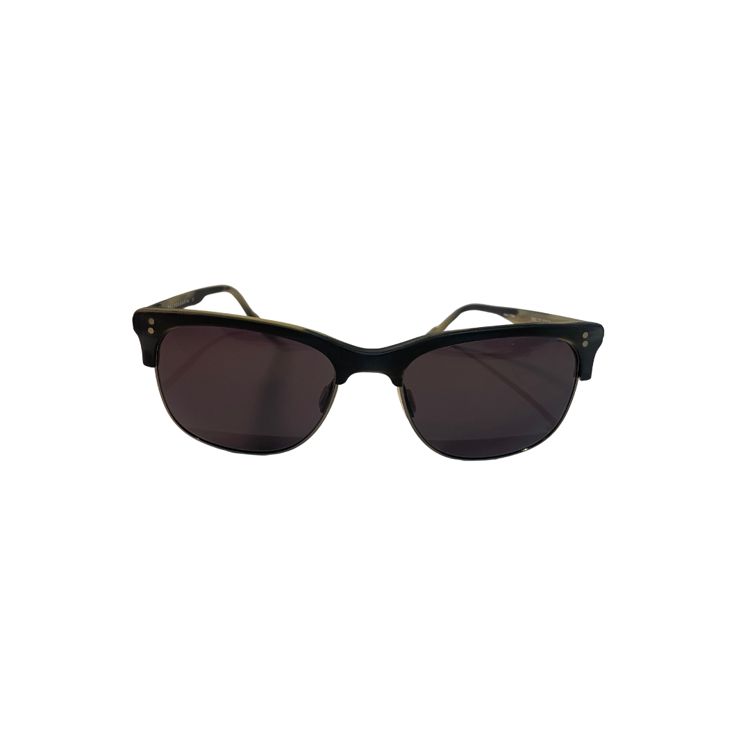 BROWN SUNGLASSES (2602/C2)