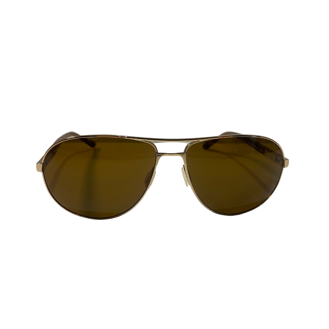 BROWN SUNGLASSES (2606/C2)