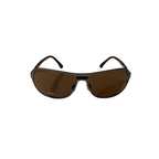 BROWN SUNGLASSES (B1116/C)