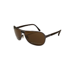 BROWN SUNGLASSES (B1116/C)