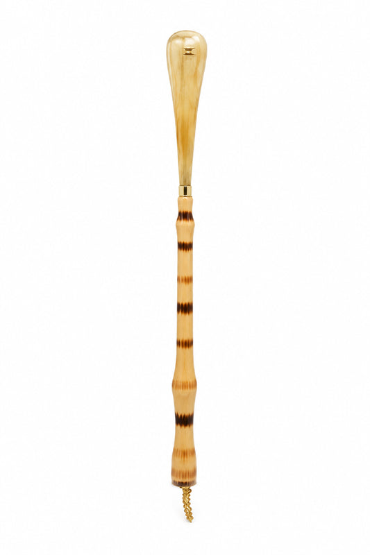 Shoe horn