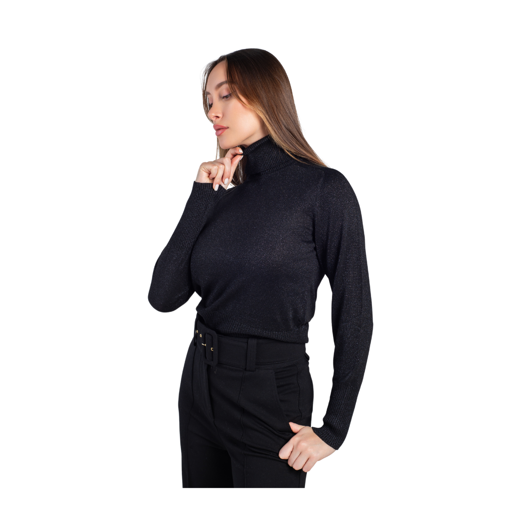 CAMINETTO - Viscose turtleneck pullover